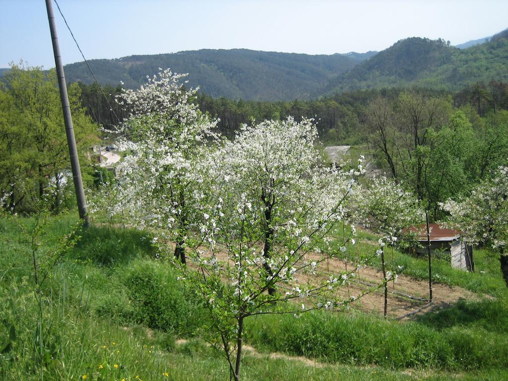 Agriturismo Casalino Di Ruggiero Simona Villa Beverino Bagian luar foto